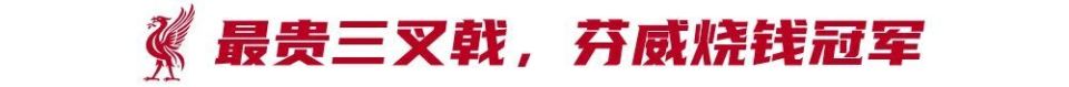 费总投入高